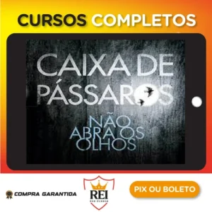 Caixa de Pássaros - Josh Malerman
