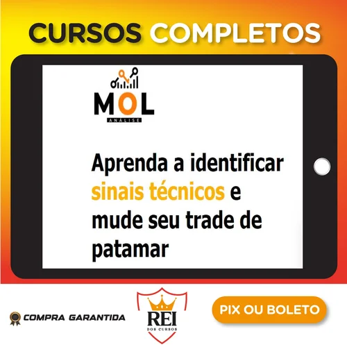 Combo Livro Mol + Curso Day Trade Discricionário - Bruno Rafael
